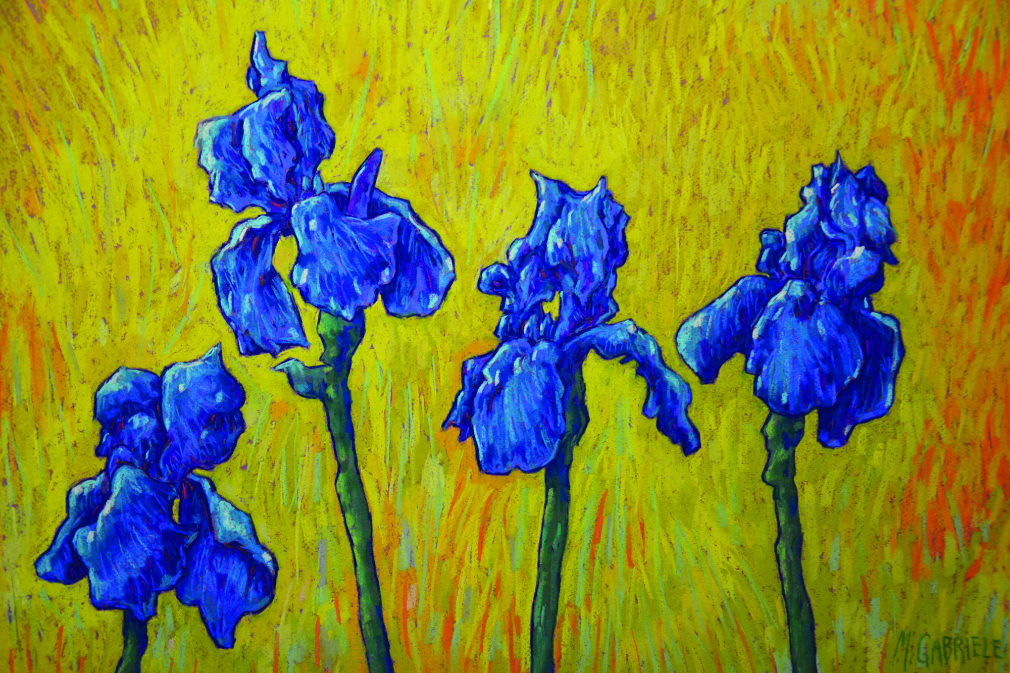 NUT-gabriel Blue Iris