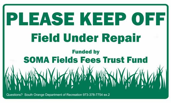 Field-GrassRepair-SouthOran