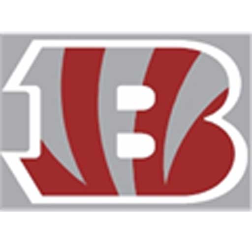 LOGO-Bloomfield-Junior-Beng